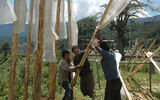 Vertically mounted prayer flags put in position near Lahkhang Temple near the town of Pakar.