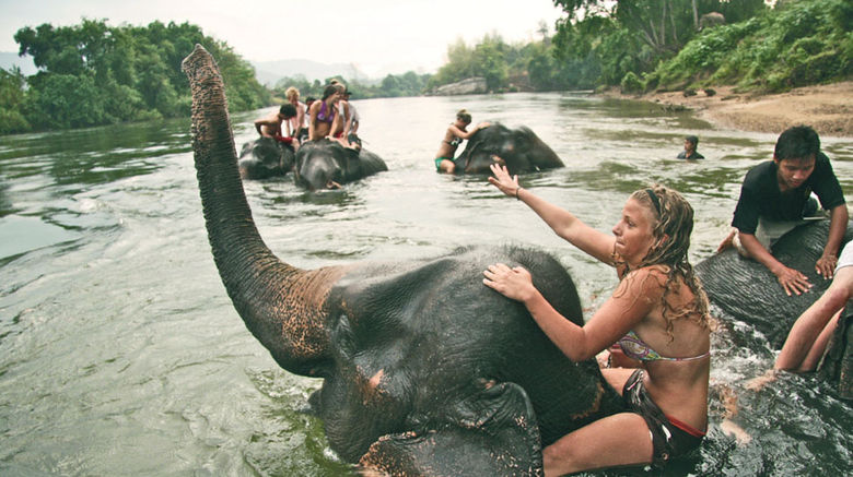 As travelers increasingly demand immersive interactions with local cultures, tour operators are working with restaurateurs, artisans and others to take their itineraries off the beaten path. Pictured here, guests of Canadian tour operator Beach Travellers at a community-run camp for rescued and disabled elephants in Thailand. Posted May 28, 2014