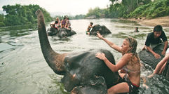 As travelers increasingly demand immersive interactions with local cultures, tour operators are working with restaurateurs, artisans and others to take their itineraries off the beaten path. Pictured here, guests of Canadian tour operator Beach Travellers at a community-run camp for rescued and disabled elephants in Thailand. Posted May 28, 2014