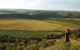 Shamwari encompasses six distinct biomes in its 62,000 acres: forest, thicket, fybos, grassland, savanna and secondary vegetation.