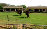 Elephant polo at Dera Amer.