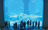 The aquarium at the new Atlantis resort in Dubai.