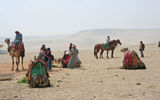 There’s no business for the camel handlers and horse riders at the pyramids of Giza.