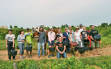 A France Journeys group participating in a grape harvest. TW photo by Michelle Baran