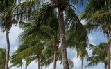 The beach at Grand Pineapple Beach, Antigua