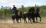 Hungarian horsemen are famous for stunts like this, where one man drives five horses while standing on the backs of two. This horseman displays his skill for tourists during a regular show at Lazar Equestrian Park outside of Budapest.