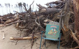 Although most debris has been collected and sorted, pieces of trees and other debris still lined one road within a half-mile of the shoreline. Photo by Arnie Weissmann