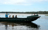 Spotting pink river and gray dolphins on the Amazon.