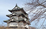 A cherry tree about to blossom in front of the castle tower in Hirosaki's Castle Park, host to the nation's largest cherry blossom festival.