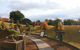 The Bonsai Museum on Jeju Island.