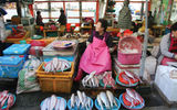 Scenes from the Jagalchi fish market in Busan.