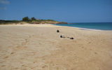 A handful of journalists were the only folks around during a recent visit to sandy Papohaku Beach Park on Molokai's west coast.