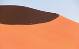 There are three reasons to climb Namibia's sand dunes in Sossusvlei early in the morning: It's not yet uncomfortably hot, the sand is firmer underfoot and the early morning sun provides deep shadow contours for photographers.