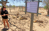 The Cheetah Conservation Foundation works with farmers to provide strategies to live in peace with the cats.