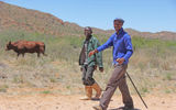 Cow herdsmen in west-central Namibia.