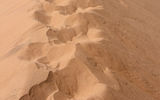 The well-trod ''trail'' up the spine of Big Daddy dune.