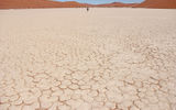 The dry, cracked earth of the Deadvlei salt pan.