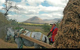 Horse-drawn wagons -- and volcanoes -- are a common sight in Nicaragua.