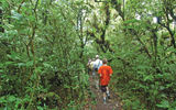 Hiking below the rim of Mombacho.