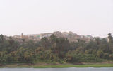 A common Nile River scene: The homes and minaret of a small village peek through a canopy of palm trees.