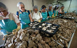 Workers at Motivatit Seafoods in Houma, La., one of the largest oyster-processing facilities in the U.S.