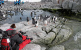 A passenger on the Fram photographing Penguins on Peterman Island.