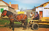 In the Transylvanian town of Viscri, people still live in a subsistence economy. TW photo by Michelle Baran