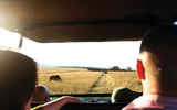 On safari at Tala Game Lodge in Durban, South Africa.