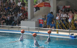 A performance at the Dolphin Lagoon on Sentosa Island. TW photo by Jeri Clausing