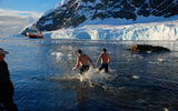 A small group of Fram passengers take a dip in the icy waters off Neko Bay.