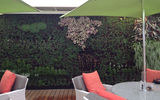The Symphony's Living Wall, which began installation in September 2012.