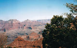 The Grand Canyon -- looks great from the sky or ground.