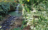 When venturing off-property, Annandale Waterfalls is a favorite spot on the island for a quick dip after a hike through the rainforest.