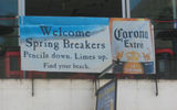A spring break sign in a bar along Puerto Vallarta's Malecon.