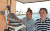 The chefs will buy 85 pounds of tuna caught in local waters for the evening meal.