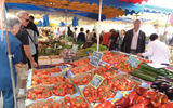Freshly picked tomatoes and peppers side by side at the market.