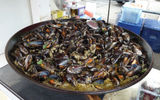 A mound of mussels
