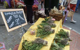 Bunches of fresh herbs for sale at the market.