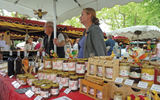 Honey from a variety of flowers and regions of France.