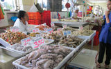 The Mercado de Mariscos seafood market in Panama City.