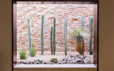 The Ritz-Carlton, Rancho Mirage's indoor cactus garden near the property's lobby reflects a more informal, local design approach to the Marriott International-managed hotel.