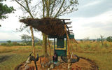 Rangers built a small monument to the chimps near the visitors station above the gorge.