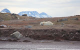 On a recent Abercrombie & Kent trip to the Arctic aboard Le Boreal, Travel Weekly Editor in Chief Arnie Weissmann joined the polar bear encounter excursion via Zodiac. The following is his experience, as told in his words (all photos by Arnie Weissmann): "When we arrived, there was one bear, an older female, napping on an island after feasting on a seal carcass.