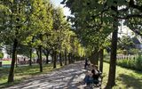 A shaded pathway in the Mirabell Gardens.