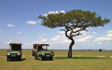 Typical four-wheel-drive vehicles used for game viewing. These are Great Plains Conservation vehicles operated inside and near the Maasai Mara National Reserve for guests at the Mara Plains and Mara Toto tented camps.