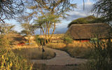 The grounds of Tortilis Camp, on the Kitirua Conservancy adjacent to Amboseli National Park in southern Kenya.