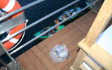 Merchants threw their wares up onto the River Tosca's sun deck.
