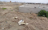 Shoes remain in front of the foundation of a destroyed house. Photo by Johanna Jainchill