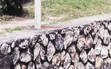 Speed bump ahead (near Dunn's River Falls in Jamaica).
