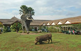 A warthog helps keep the grass short on the lawn of Mweya Safari Lodge in Queen Elizabeth National Park.